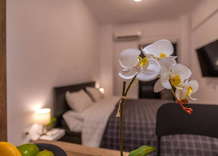 Athens Downtown Cozy Luxury Nest