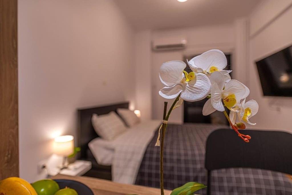 Downtown Cozy Luxury Nest Athens